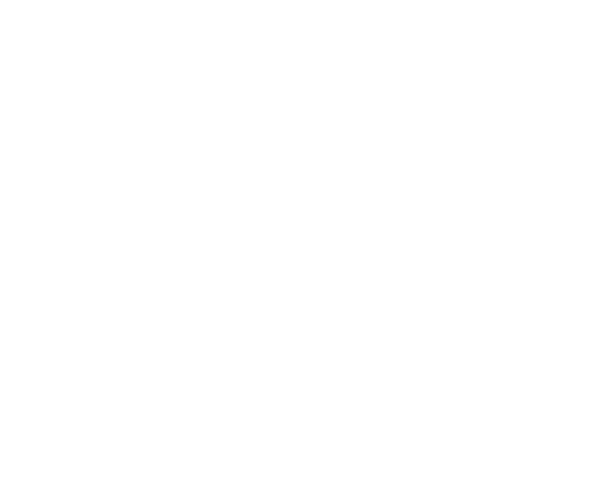 Rook Architects
